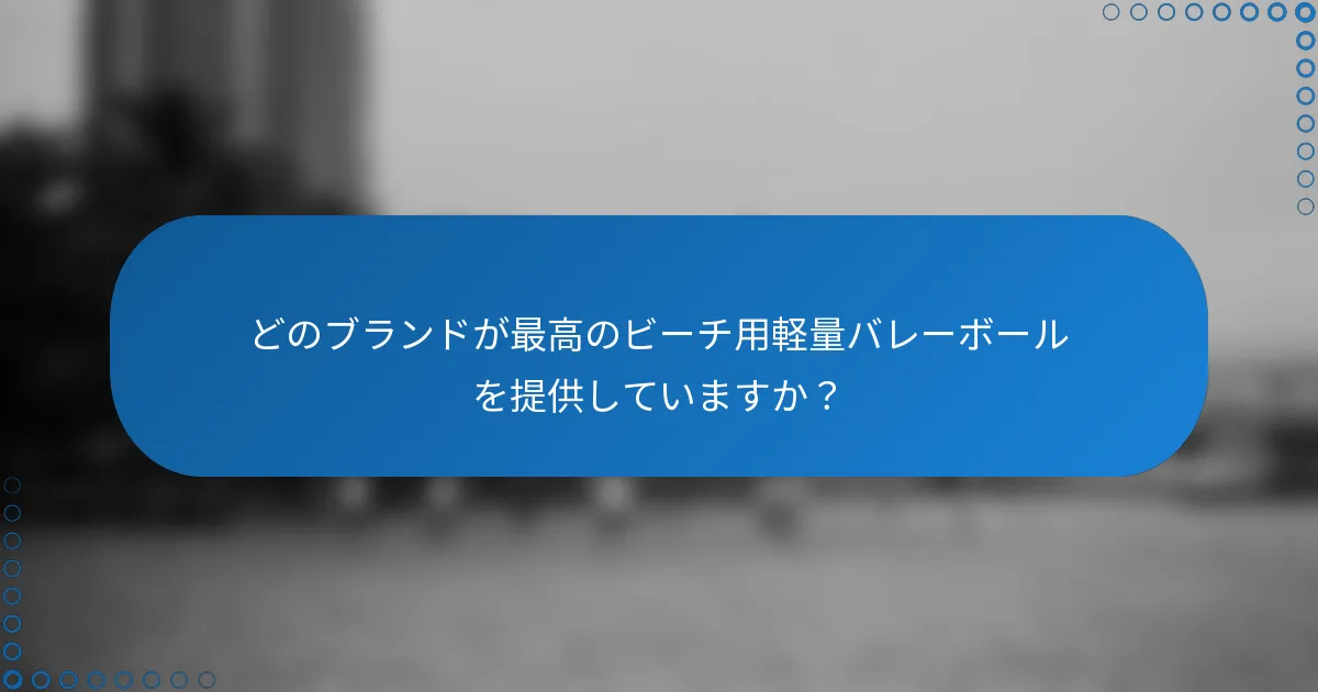 どのブランドが最高のビーチ用軽量バレーボールを提供していますか?