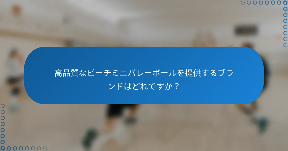 高品質なビーチミニバレーボールを提供するブランドはどれですか？