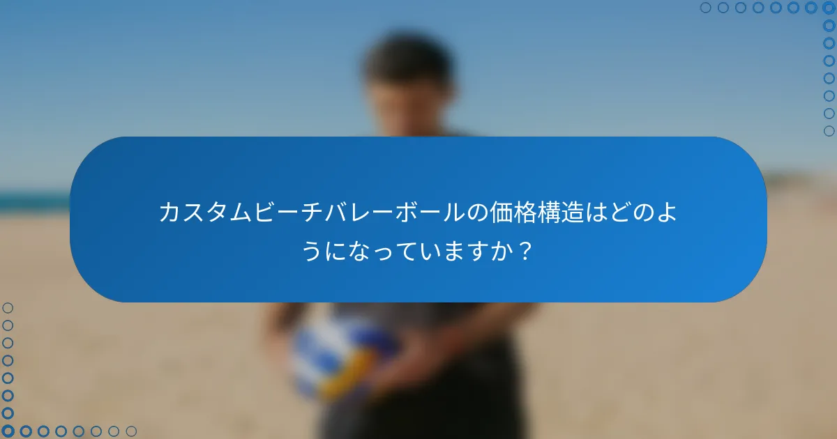 カスタムビーチバレーボールの価格構造はどのようになっていますか？