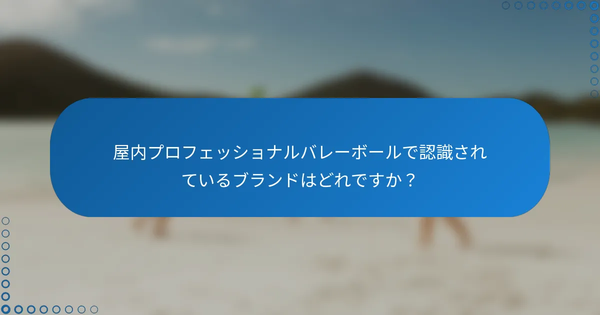 屋内プロフェッショナルバレーボールで認識されているブランドはどれですか？