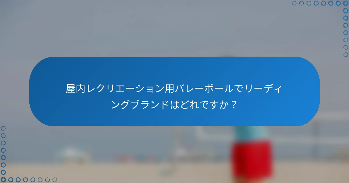 屋内レクリエーション用バレーボールでリーディングブランドはどれですか？
